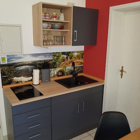 Zimmerappartement "Rose" - Ferienwohnungen Wagner & Gaul Daleiden Exteriör bild